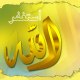 saad12