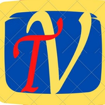 VidzooTv