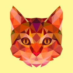 cute cats