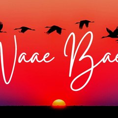 Naae Bae