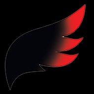 Uçak Kazası Raporu İkarosun Kanadı