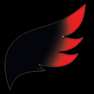 Uçak Kazası Raporu İkarosun Kanadı