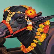 dm_50c899174effcf687459abda780bf0fc