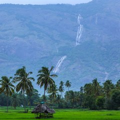 Thathamma