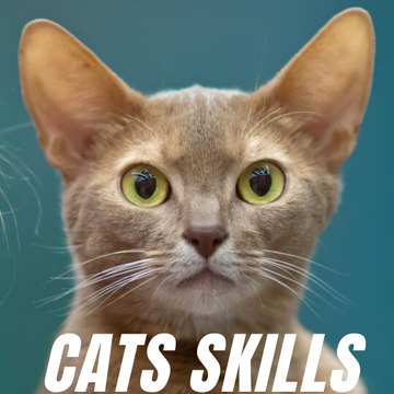Cat Skills