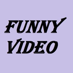 funny videos