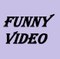 funny videos