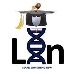 Lin Academy