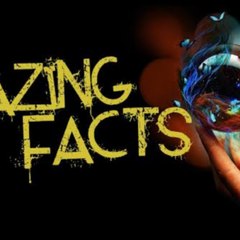 Awesome Facts