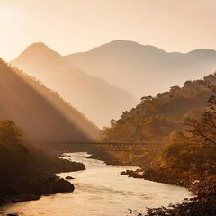 Gospel of the saints