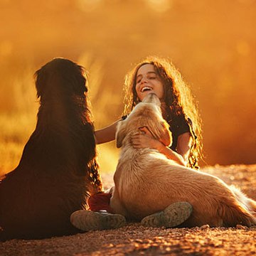 Animals Lovers