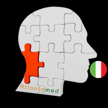 Atlantomed-IT