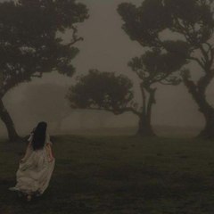 Haema