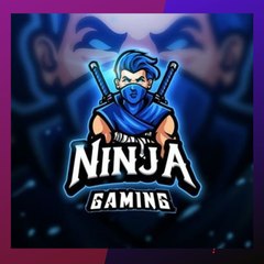 mr ninja
