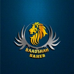 Baadshah Saheb Cricket Analyst