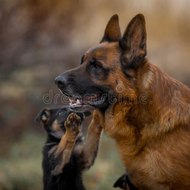 dm_6d4adaf1470dec67ce5de36146b6b8fe