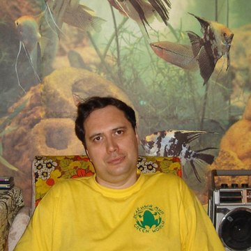 Андрей Козлович (Авторский канал)