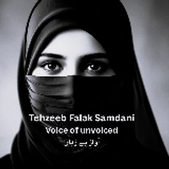 Tehzeeb Falak Samdani