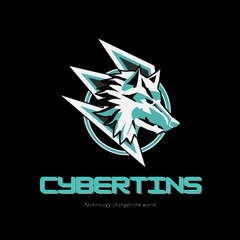 CYBERTINS MODZ