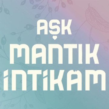 Aşk Mantık İntikam