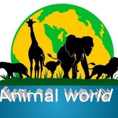 Animals world