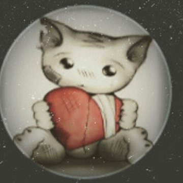 Chaton Noona