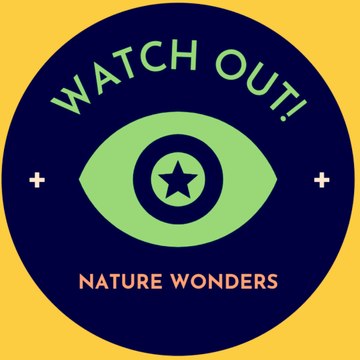 NATURE WONDERS(meditation win)