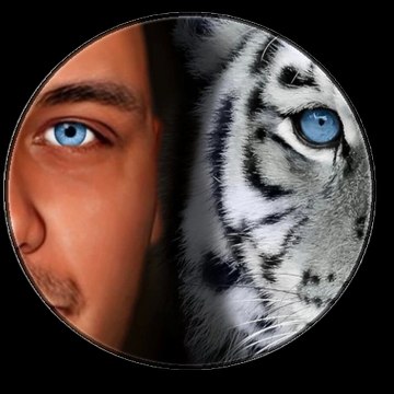 THE WORLD OF JULIEN FREJAVILLE