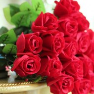 عالم المرأة المكافحة