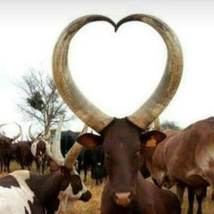Rwanda Online