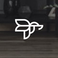 hawkio creative