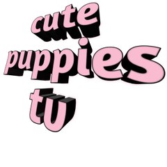 Cute Puppies TV