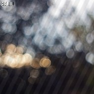 Cats and Dogs training