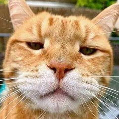 Breakforlaugh channel
