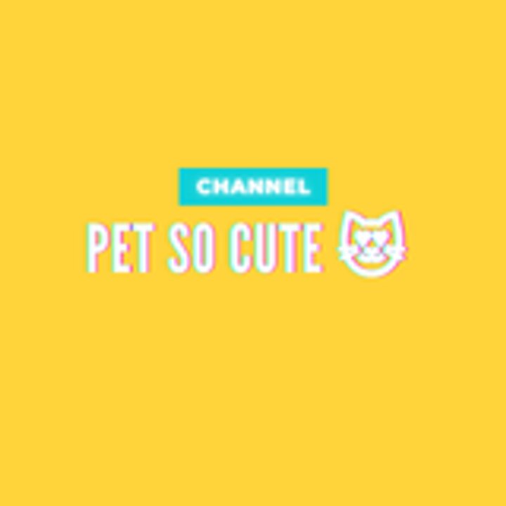 Dailymotion profile picture for @Card
