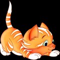 Little MiauW