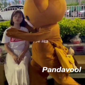 Panda Vool