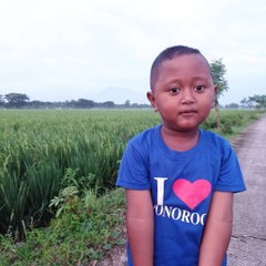 TRAKTOR JOSS NGAWI