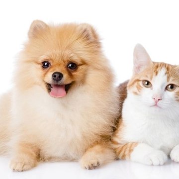 Awan Satrio Angellyta