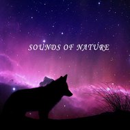 Sounds of nature