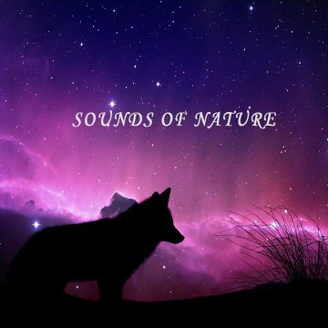 Sounds of nature