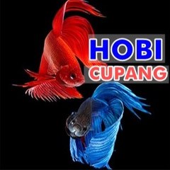 HOBI CUPANG