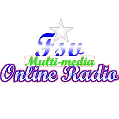 Fsv-Media