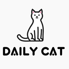 DAILY CAT