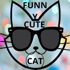FUNNY CUTE