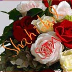 Shehidul Islam