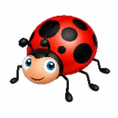 Coccinelle De Dieu
