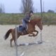 Margaux