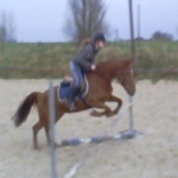 Margaux