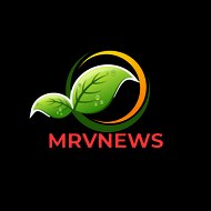mrv news